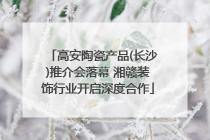 高安陶瓷产品(长沙)推介会落幕 湘赣装饰行业开启深度合作