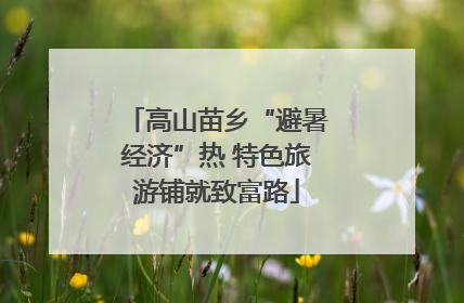高山苗乡“避暑经济”热 特色旅游铺就致富路