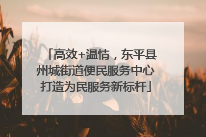 高效+温情，东平县州城街道便民服务中心打造为民服务新标杆