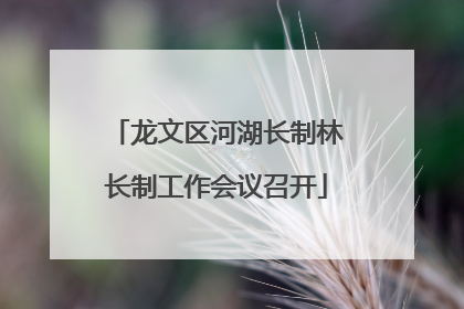 龙文区河湖长制林长制工作会议召开