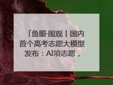 鱼眼·围观丨国内首个高考志愿大模型发布：AI填志愿，靠不靠谱？