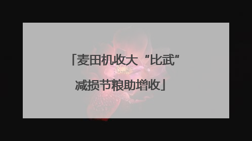 麦田机收大“比武” 减损节粮助增收