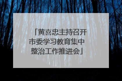 黄喜忠主持召开市委学习教育集中整治工作推进会