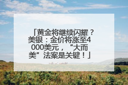 黄金将继续闪耀？美银：金价将涨至4000美元，“大而美”法案是关键！