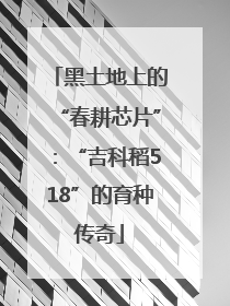 黑土地上的“春耕芯片”：“吉科稻518”的育种传奇