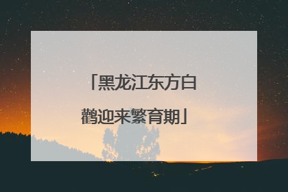 黑龙江东方白鹳迎来繁育期