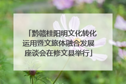 黔赣桂阳明文化转化运用暨文旅体融合发展座谈会在修文县举行