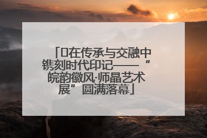 ﻿在传承与交融中镌刻时代印记——“皖韵徽风·师晶艺术展”圆满落幕