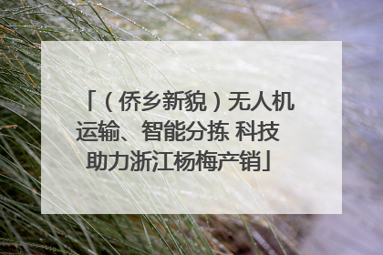 （侨乡新貌）无人机运输、智能分拣 科技助力浙江杨梅产销