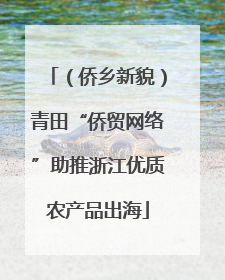 （侨乡新貌）青田“侨贸网络”助推浙江优质农产品出海