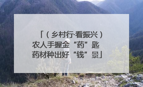 （乡村行·看振兴）农人手握金“药”匙 药材种出好“钱”景