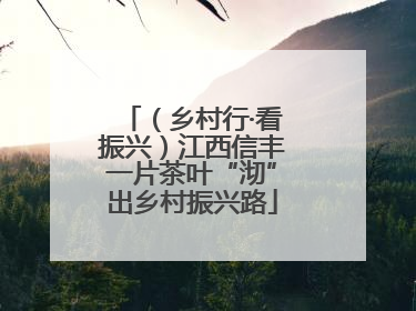 （乡村行·看振兴）江西信丰一片茶叶“沏”出乡村振兴路