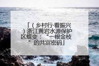 （乡村行·看振兴）浙江黄岩水源保护区蝶变：“一根金枝”的共富密码