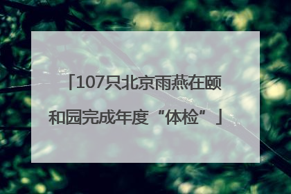 107只北京雨燕在颐和园完成年度“体检”