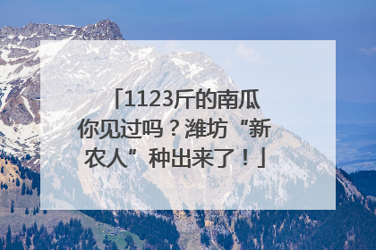 1123斤的南瓜你见过吗？潍坊“新农人”种出来了！