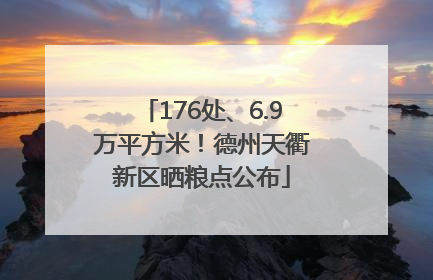 176处、6.9万平方米！德州天衢新区晒粮点公布