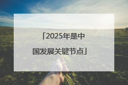 2025年是中国发展关键节点