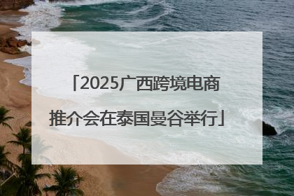 2025广西跨境电商推介会在泰国曼谷举行