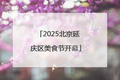 2025北京延庆区美食节开幕