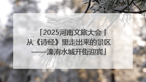 2025河南文旅大会丨从《诗经》里走出来的景区——溱洧水城开街迎宾