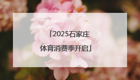 2025石家庄体育消费季开启