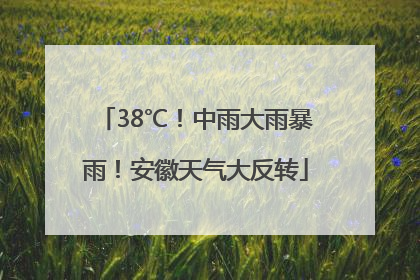 38℃！中雨大雨暴雨！安徽天气大反转
