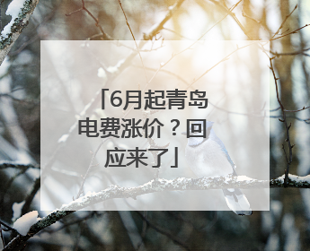 6月起青岛电费涨价？回应来了