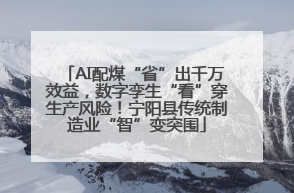 AI配煤“省”出千万效益，数字孪生“看”穿生产风险！宁阳县传统制造业“智”变突围