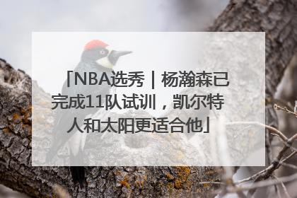 NBA选秀｜杨瀚森已完成11队试训，凯尔特人和太阳更适合他
