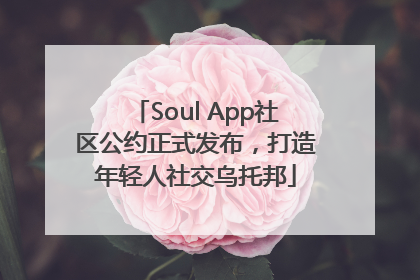 Soul App社区公约正式发布，打造年轻人社交乌托邦