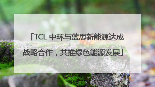 TCL 中环与蓝思新能源达成战略合作，共推绿色能源发展